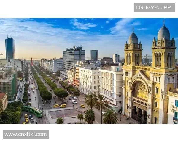 突尼斯足球球星崛起之路展现北非绿茵精神与国家荣耀